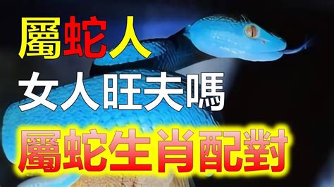 屬蛇姻緣|生肖配對｜屬蛇12生肖夫妻配對表！最佳姻緣及相沖排